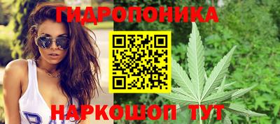 PSILOCYBIN Обнинск