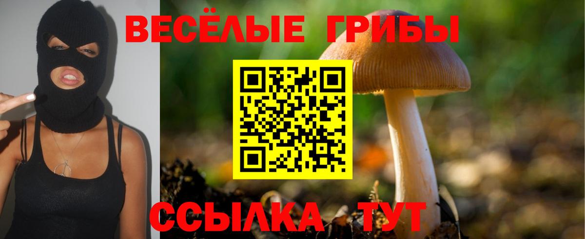 Галлюциногенные грибы прущие грибы Семилуки